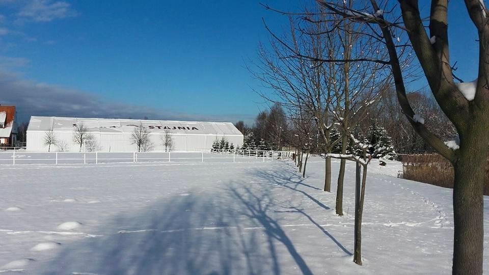 Hotel Stara Stajnia Pleszew Exteriör bild