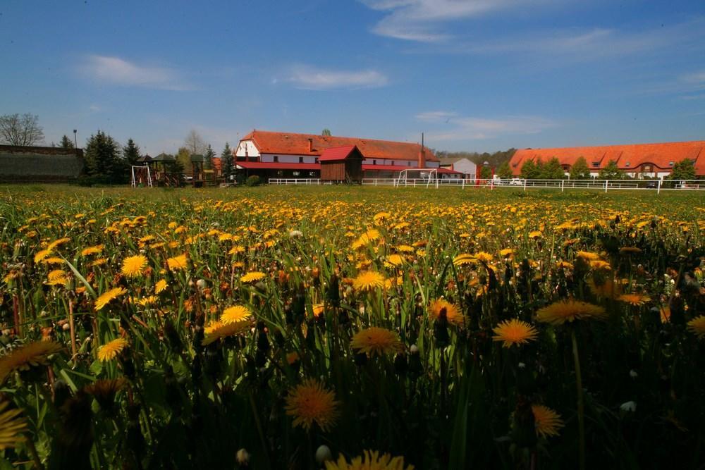 Hotel Stara Stajnia Pleszew Exteriör bild